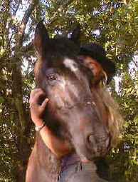 Costa Rica volunteer programm result 5