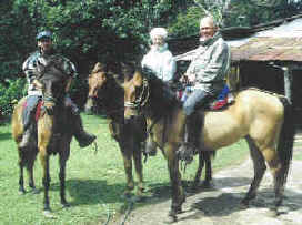 Sabine's Smiling Horses Monteverde