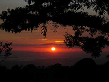 monteverde costa rica sunset horseback ride